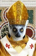 Avatar du membre