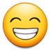 Beaming Face with Smiling Eyes :beaming-face-with-smiling-eyes:
