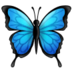 Butterfly :butterfly: