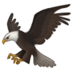 :eagle: