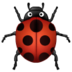 :lady-beetle: