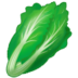 :leafy-green: