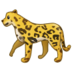 :leopard: