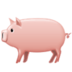 :pig: