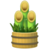 :pine-decoration: