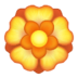 :rosette: