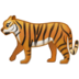 Tiger :tiger: