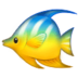 :tropical-fish: